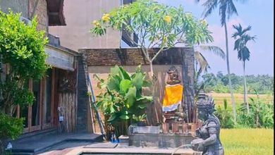 Rumah Elite di Kawasan Ubud, Gianyar, LB 150m², Harga 3 Miliar