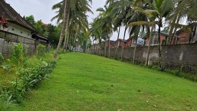 Kesempatan Tanah Murah di Ubud, Gianyar, Luas 3100m²