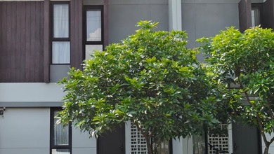 Dijual Rumah Nyaman di Summarecon Bandung, Bandung - LT 90m²