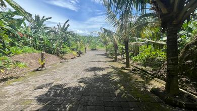 Dijual Tanah Murah di Gianyar, Gianyar, LT 180m²