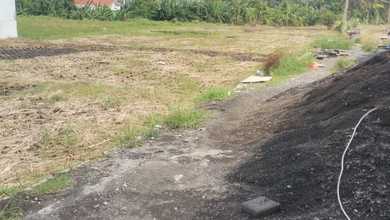 Sewa Petak Ukuran 2400 m2 Lokasi Pererenan Disewakan Cepat