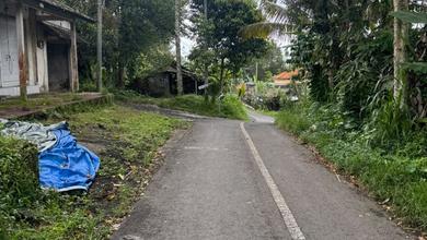 Investasi Tanah Murah di Payangan, Gianyar, Luas 3000m²