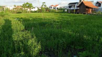 Sewa Kavling Luas 3500 m2 di Tumbak Bayuh Disewakan Cepat