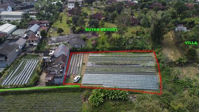 Tanah Luas 2000 m2 Kawasan Strategis Buleleng, Dijual Terjangkau