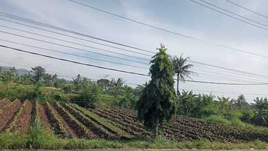 For Sale Tanah Premium di Karangtengah, Cianjur, LT 12000m²