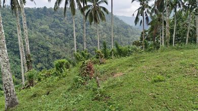 Dijual Tanah Premium di Payangan, Gianyar, LT 12000m²