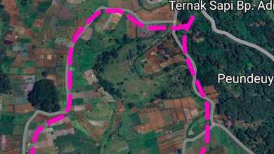 Tanah Elit Dijual di Cipanas, Cianjur, Harga 95 Miliar