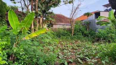 Tanah Komersial Dekat Jalan Raya Kawasan Jimbaran