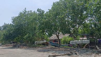 Kesempatan Tanah Murah di Pengulon, Buleleng, Luas 23360m²