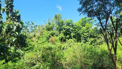 Dijual Tanah Eksklusif di Pecatu, Badung, LT 5000m²