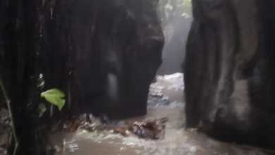 Dijual Tanah Eksklusif di Payangan, Gianyar, LT 24300m²