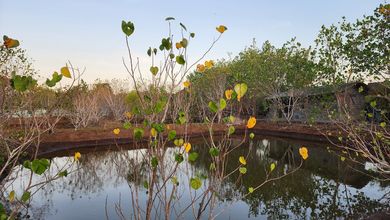 Jual Tanah Terjangkau di Area Jimbaran, Badung