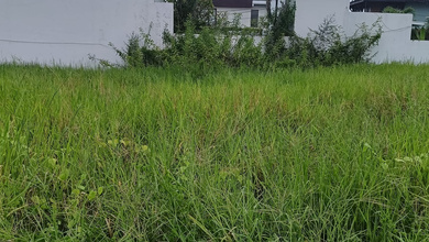 Dijual Tanah Terjangkau di Cemagi, Badung, LT 250m²