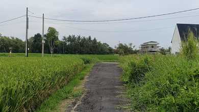 Kesempatan Tanah Strategis di Kedungu, Tabanan, Harga 2,37 Miliar