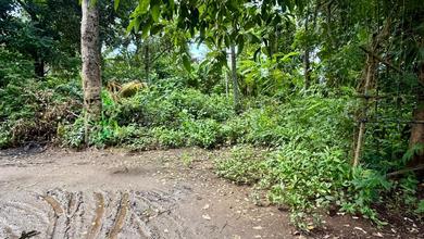 Kavling Prestisius Dijual di Ubud, Gianyar, Harga 6,87 Miliar