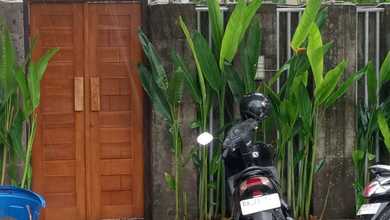 Dikontrakkan Rumah Murah di Kerobokan, Badung, LT 100m²