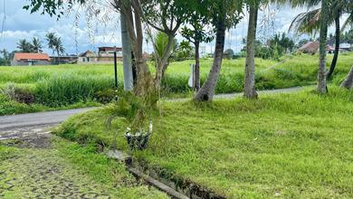 Jual Murah Tanah 216 m2 Tempat Strategis