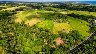 Jual Tanah Terjangkau di Area Tabanan, Tabanan