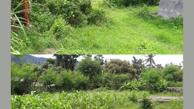 Jual Cepat Tanah Terjangkau di Singaraja, Buleleng, LT 1200m²