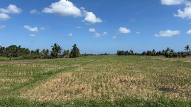 Tanah Nyaman untuk Hunian di Kedungu, Tabanan, Luas 200m²