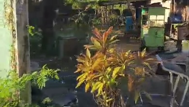 Investasi Tanah Murah di Denpasar Barat, Denpasar, Luas 4m²