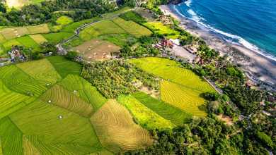 Jual Tanah Terjangkau di Area Tabanan, Tabanan