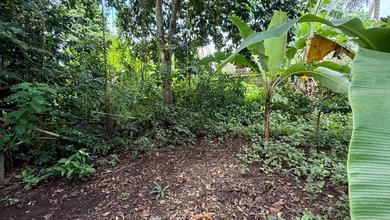 Jual Tanah Minimalis di Area Ubud, Gianyar