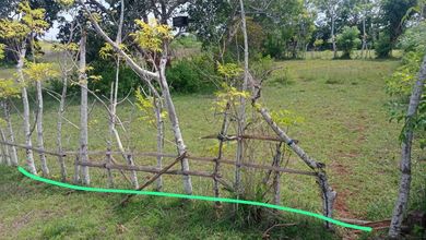 Jual Tanah Terjangkau di Area Ungasan, Badung