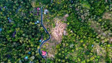 Tanah Harga Hemat di Tejakula, Buleleng, Harga 75 Juta