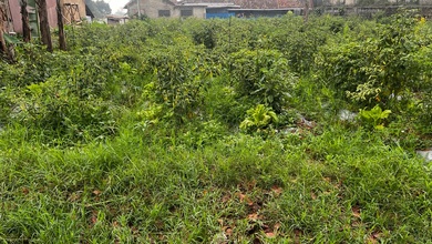 Jual Tanah di Lokasi Premium Cisarua, Bandung Barat, Harga 800 Juta