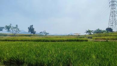 Kavling Prestisius Dijual di Soreang, Bandung, Harga 12 Miliar