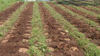 Kavling Prestisius Dijual di Cimahi Utara, Cimahi, Harga 6,08 Miliar