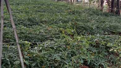 Tanah Luas 363 m2 Area Strategis Ngamprah, Dijual Terjangkau