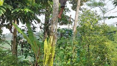 Kavling Prestisius Dijual di Padalarang, Bandung, Harga 3,08 Miliar