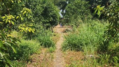 Workshop Dan Gudang Di Rancamayar