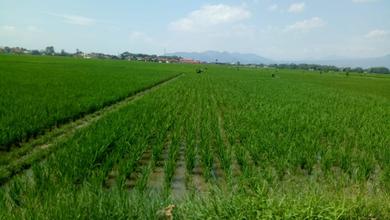 Jual Tanah Lokasi Strategis, LT 11000 m2