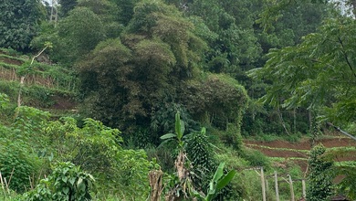 Tanah Elit Dijual di Ciumbuleuit, Bandung, Harga 5,5 Miliar