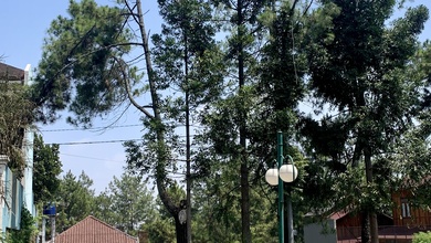 Dijual Tanah Premium di Pondok Hijau, Bandung, LT 825m²