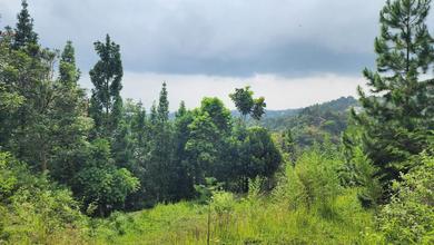 Tanah Elit Dijual di Dago, Bandung, Harga 4,8 Miliar