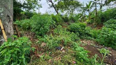 Tanah Elit Dijual di Ciumbuleuit, Bandung, Harga 27 Triliun