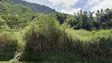 Tanah Elit Dijual di Sukasada, Buleleng, Harga 17,2 Miliar