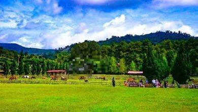 Tanah Bisnis Dekat Jalan Raya Kawasan Lembang