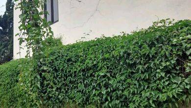 Rumah Premium LT 100 Jual di Parongpong, Bandung Barat