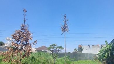 Tanah Elit Dijual di Mekar Wangi, Bandung, Harga 10,5 Miliar