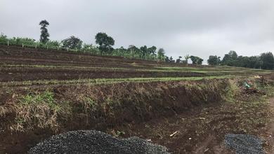 Tanah Elit Dijual di Padalarang, Bandung Barat, Harga 210 Miliar