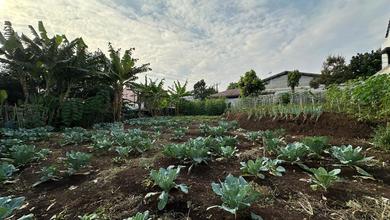 Jual Tanah di Lokasi Premium Cimahi, Bandung, Harga 850 Juta