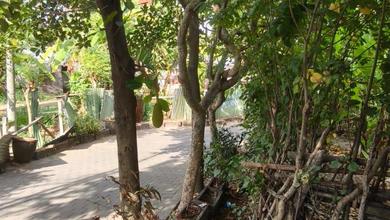 Dijual Tanah Eksklusif di Renon, Denpasar, LT 1000m²
