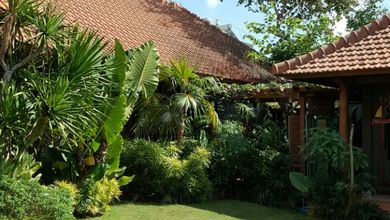Spacious And Full Of Greenery 5 Bedroom Villa In Umalas