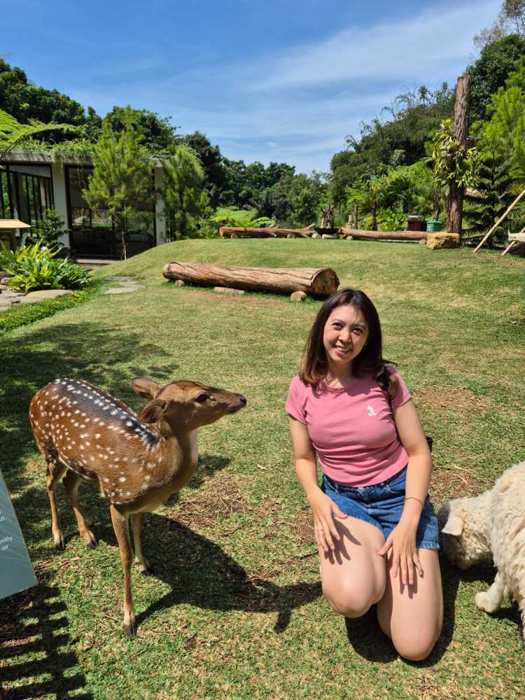 Triani Herlina Tri | Agen Properti Discovery Property