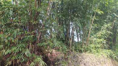 Tanah Elit Dijual di Cileunyi, Bandung, Harga 4,73 Miliar